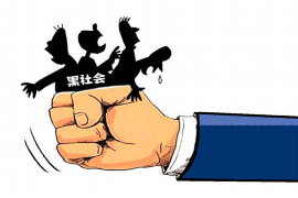 东宝为什么选择专业追讨公司来处理您的债务纠纷？